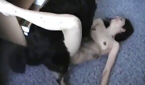 sexo com animais,zoológico foda pornô