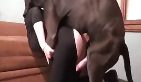 Caiu na net sexo gostoso com morena muito gostosa - sexo de cachorro,sexo foda animal